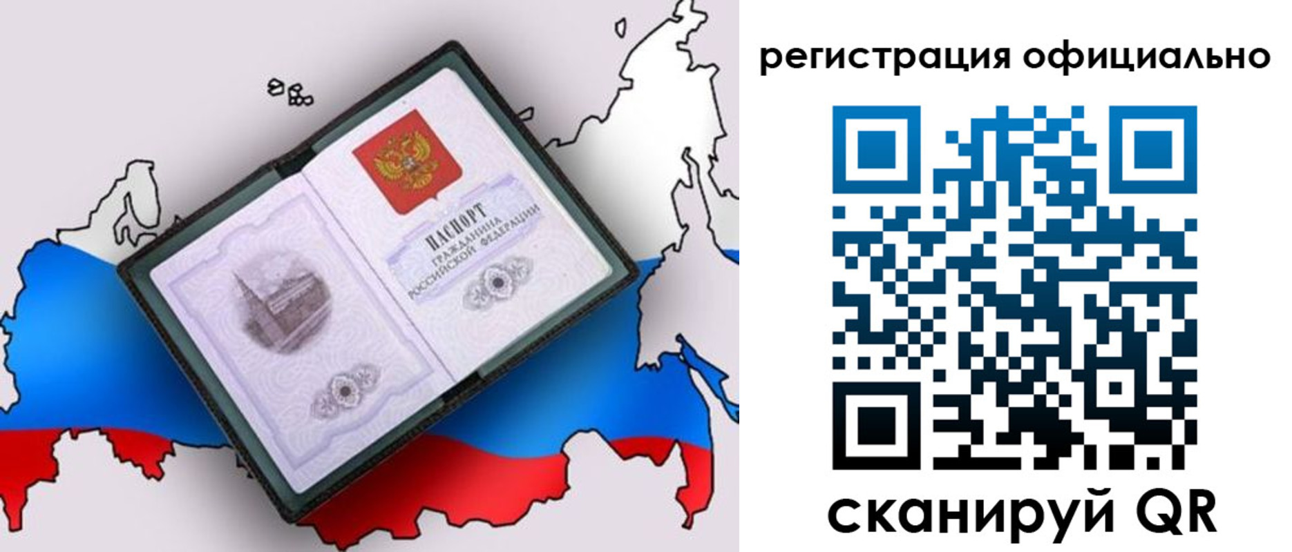 найти адрес прописки в Светлогорске