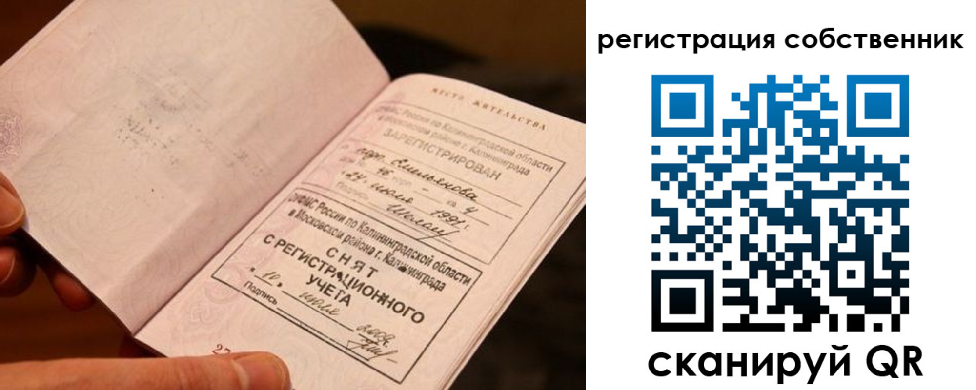 пропишу в квартире в Светлогорске